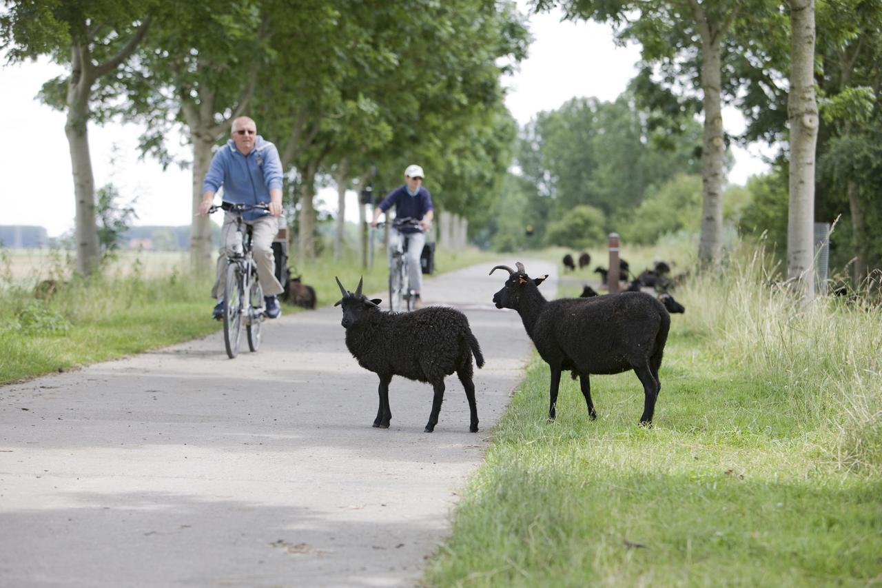 B&B 't Heirweggoed Assenede Buitenkant foto